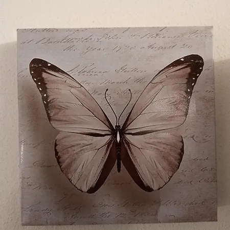 Butterfly House - Апартаменты